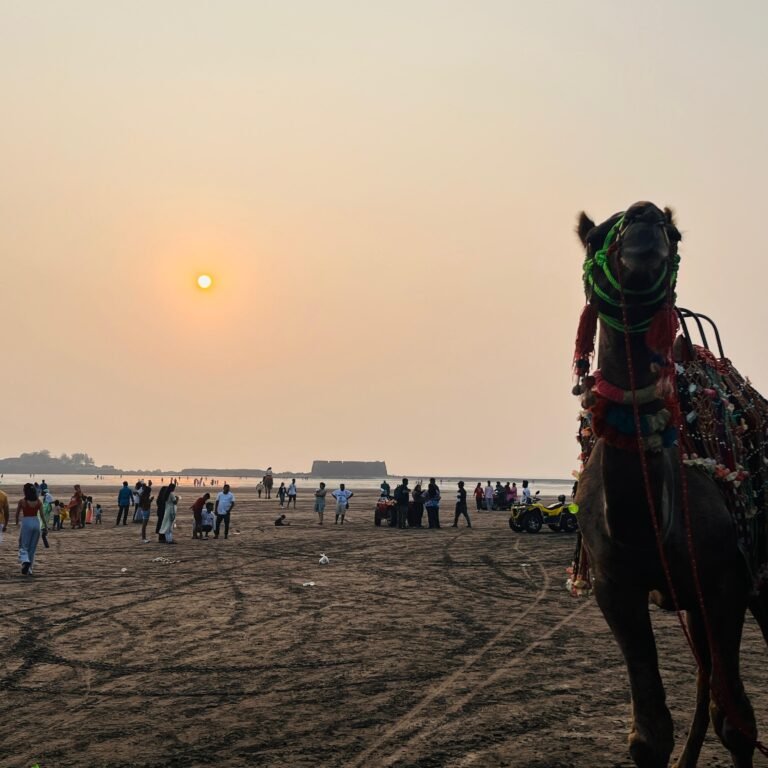 alibaug beach camel
